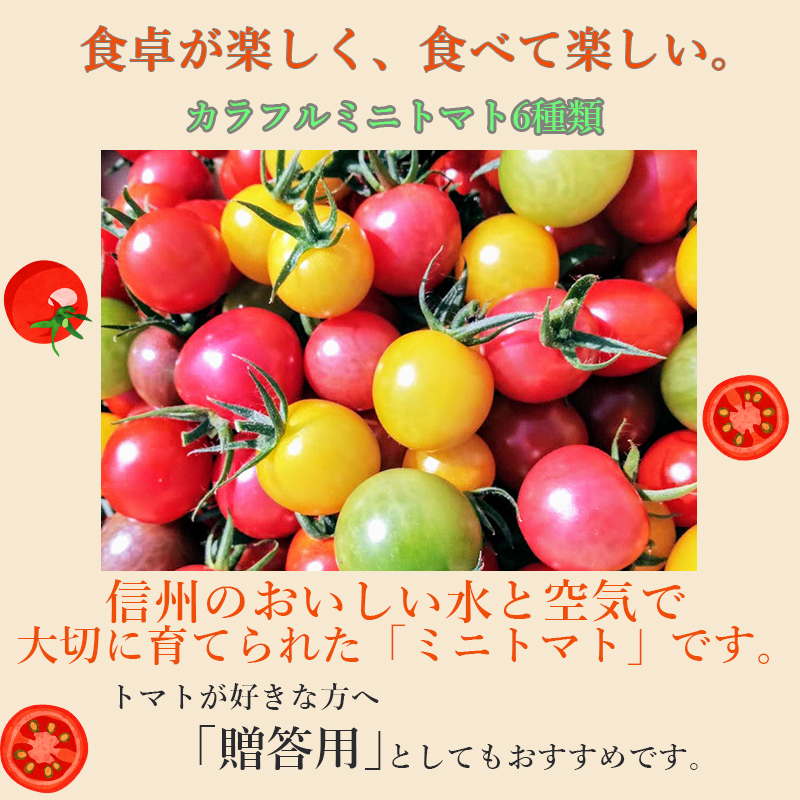 カラフルミニトマト | 取扱商品 | 長野ベリーファーム